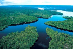 29.5.2014_Συμφωνία ρεκόρ για την προστασία του Αμαζονίου