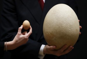29.8.2014_Σε δημοπρασία το μεγαλύτερο αυγό του κόσμου