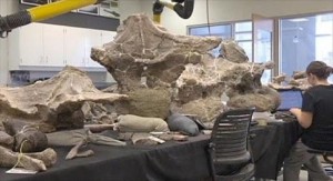 6.9.2014_Ανακαλύφθηκε ο σκελετός του μεγαλύτερου δεινοσαύρου