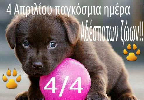 4.4.2015_Παγκόσμια ημέρα αδεσπότων ζώων
