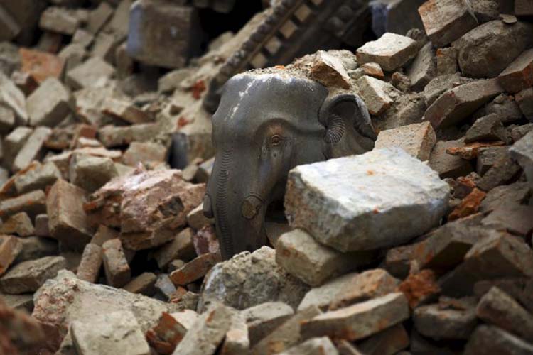 3.5.2015_Νεπάλ τρεις άνθρωποι ζωντανοί στα ερείπια οκτώ ημέρες μετά τον σεισμό