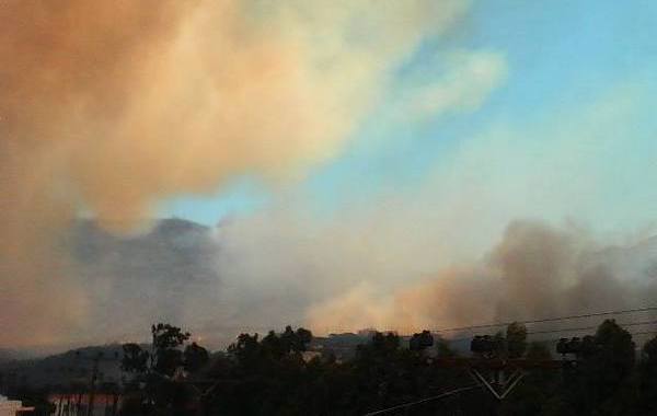 17.7.2015_Σε εξέλιξη η πυρκαγιά στη Νεάπολη Λακωνίας_3