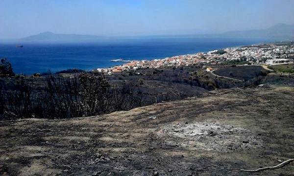 18.7.2015_Οι πρώτες εκτιμήσεις των ζημιών από την πυρκαγιά στην Νεάπολη_1