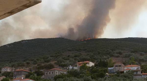 21.7.2016_Υπό έλεγχο η πυρκαγιά που ξέσπασε σε Τάλαντα Άγιο Νικόλαο και Λιρά Μονεμβασίας_1