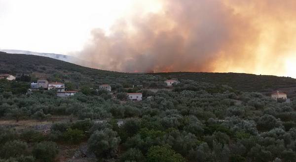 21.7.2016_Υπό έλεγχο η πυρκαγιά που ξέσπασε σε Τάλαντα Άγιο Νικόλαο και Λιρά Μονεμβασίας_2