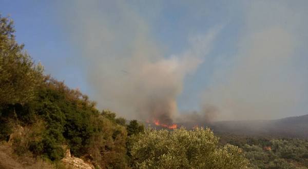 21.7.2016_Υπό έλεγχο η πυρκαγιά που ξέσπασε σε Τάλαντα Άγιο Νικόλαο και Λιρά Μονεμβασίας_3