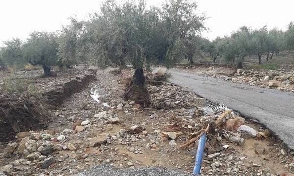 7.9.2016_Μεγάλα προβλήματα προκάλεσε η χθεσινή νεροποντή στους Μολάους_5