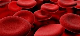 12η εθελοντική αιμοδοσία από την ΑΕ Κάστρο Μονεμβασίας