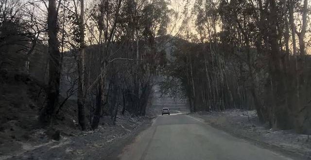 Κοινό μέτωπο 6 Επιμελητηρίων για οριστική λύση στα πυρόπληκτα δάνεια