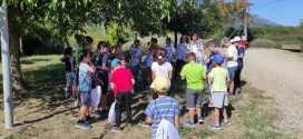 Δήμος Σπάρτης: Ξεκίνησαν οι παράλληλες δράσεις για το 40ο Σπάρταθλον