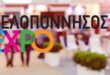 Πελοπόννησος  Expo 2024: Το Επιμελητήριο Λακωνίας επιχορηγεί τη συμμετοχή των μελών του