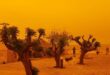 Μονεμβασία: Απόκοσμες εικόνες λόγω αφρικανικής σκόνης