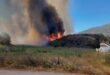 Μονεμβασία: Φωτιά στην περιοχή Αγίου Στεφάνου – Κινδύνευσαν δύο κατοικίες