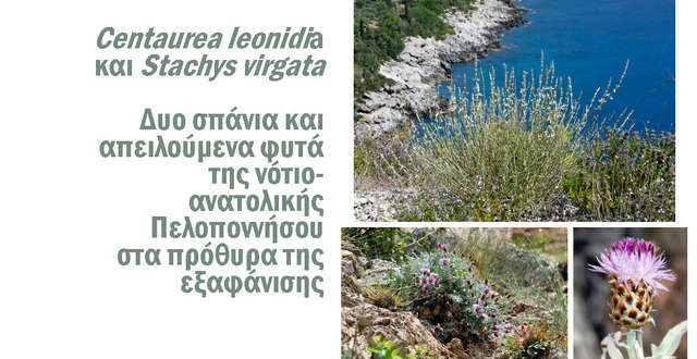 Ενημερωτική συνάντηση στο Λεωνίδιο αύριο 17/5 για  απειλούμενα φυτά της Πελοποννήσου