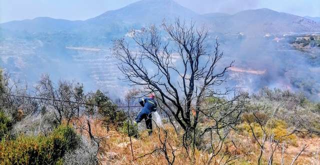 Μονεμβασία: Φωτιά στην περιοχή του Αγίου Στεφάνου