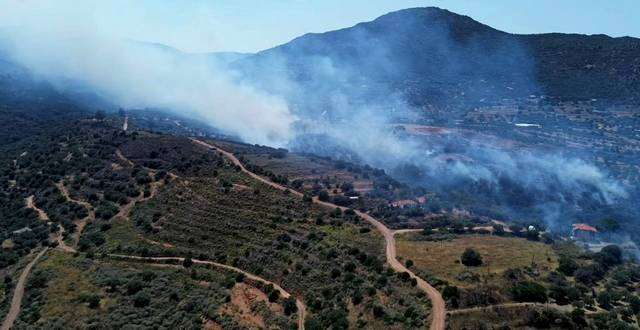 Φωτιά στον Άγιο Στέφανο Μονεμβασίας – Η επόμενη μέρα (βίντεο)