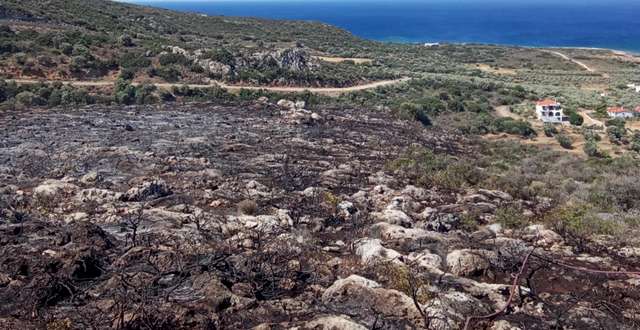 Υπό έλεγχο η φωτιά στον Αρχάγγελο Λακωνίας (βίντεο)