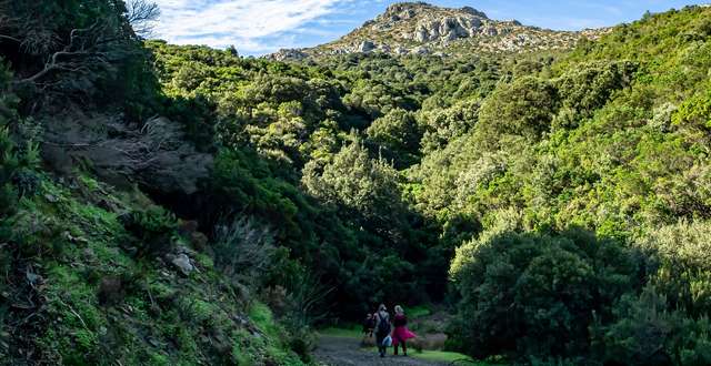 Το Μονοπάτι της Θεραπείας στην Αρκαδία περπατά ο ΕΟΣ Μολάων & ΝΑ Λακωνίας