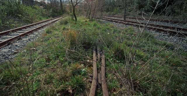 Το τρένο της Πελοποννήσου περνά από το  Διεθνές Φεστιβάλ Ντοκιμαντέρ