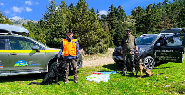 Δηλητηριασμένα δολώματα εντοπίστηκαν στον Πάρνωνα