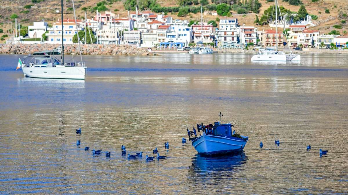 Φωτογραφία της ημέρας